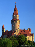 image from gallery