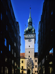 image from gallery