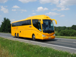 image from gallery