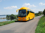 image from gallery