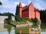 image from gallery