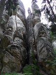 image from gallery