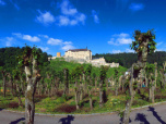 image from gallery