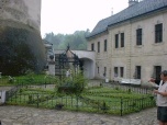 image from gallery