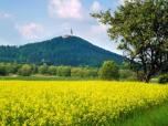 image from gallery