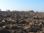 image from gallery